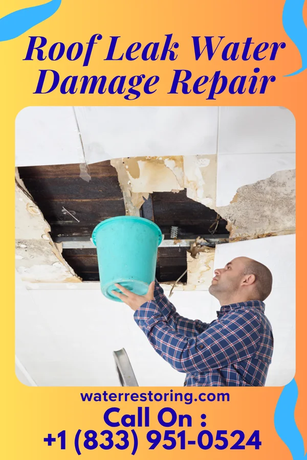 Roof Leak Water Damage Repair in Shrewsbury, PA