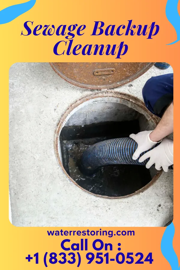 Sewage Backup Cleanup in Shrewsbury, PA